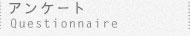 �A���P�[�g/Quesionnaire