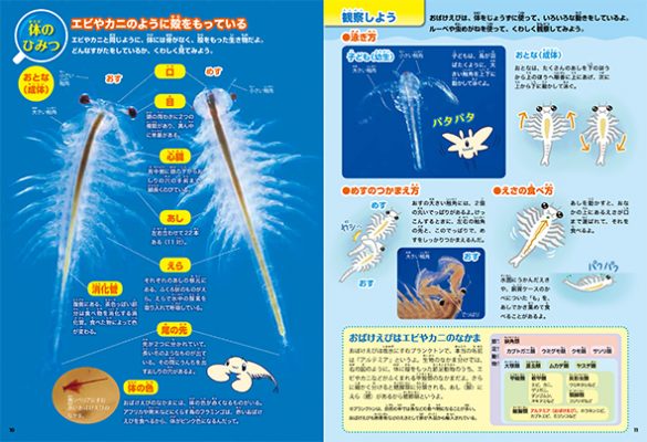 科学と学習PRESENTS　おばけえびすいすい水族館