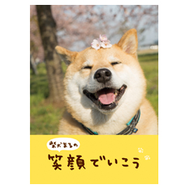 メッセージブック 柴犬まるの笑顔でいこう(柴犬まる)
