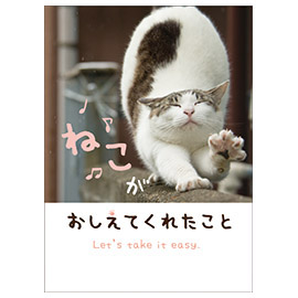メッセージブック ねこがおしえてくれたこと(ねこ)
