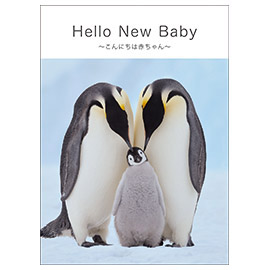 メッセージブック Hello New Baby ~こんにちは赤ちゃん~（動物親子）