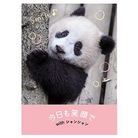 メッセージブック 今日も笑顔で(シャンシャン)