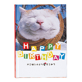 メッセージブック かご猫シロより愛をこめて HAPPY BIRTHDAY(かご猫)
