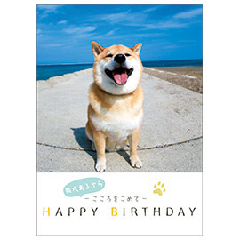 メッセージブック 柴犬まるからこころをこめて HAPPY BIRTHDAY (柴犬まる)