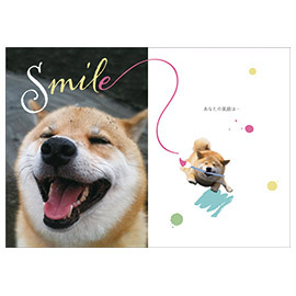 メッセージブック 柴犬まるからこころをこめて HAPPY BIRTHDAY (柴犬まる)