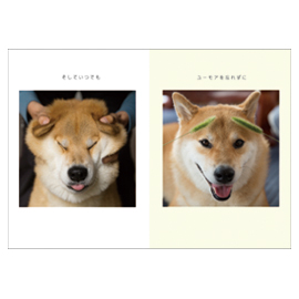 メッセージブック 柴犬まるの笑顔でいこう(柴犬まる)