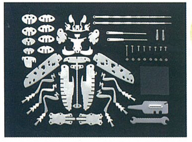 科学と学習PRESENTS<br>メタルキット　ゴマダラカミキリムシ　増補