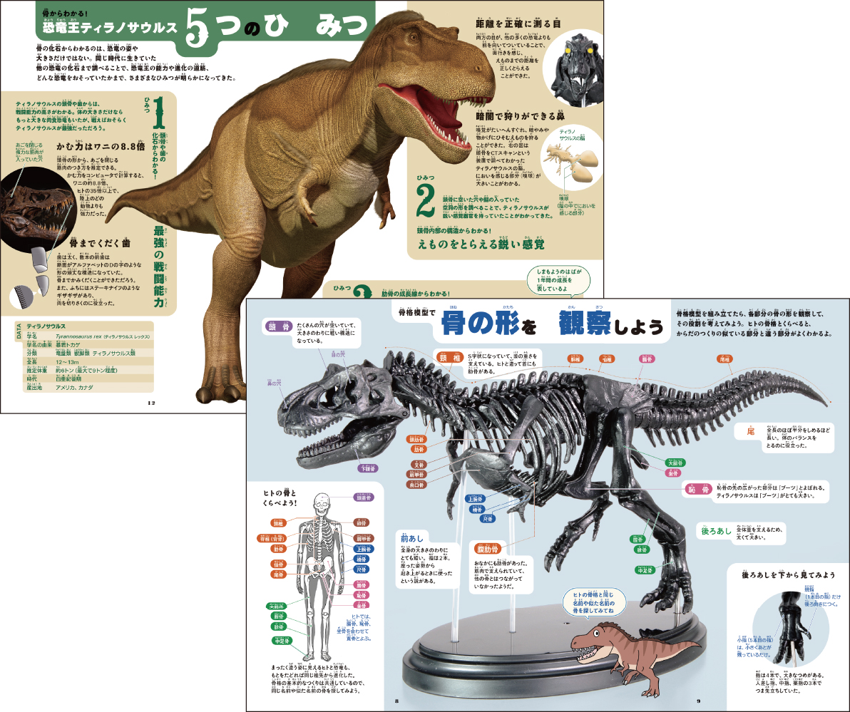 科学と学習PRESENTS<br>ティラノサウルス骨格模型&ポスター