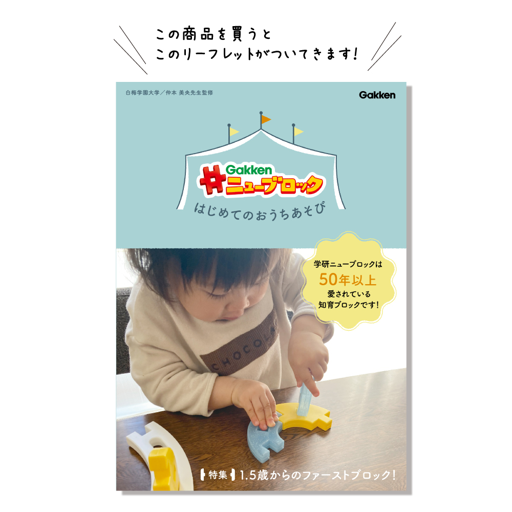 Gakkenニューブロック はじめてあそび コロコロカーセット(きほんのいろ)<br>公式ショップ限定