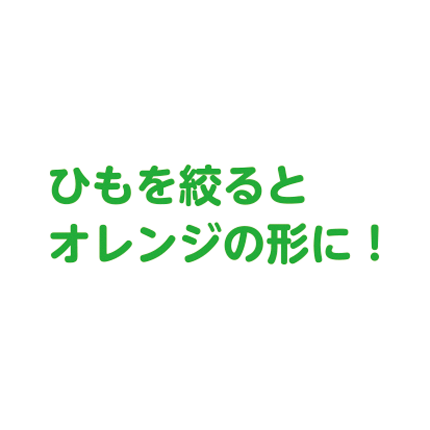 はらぺこあおむし エリック・カール<br>巾着（オレンジ）