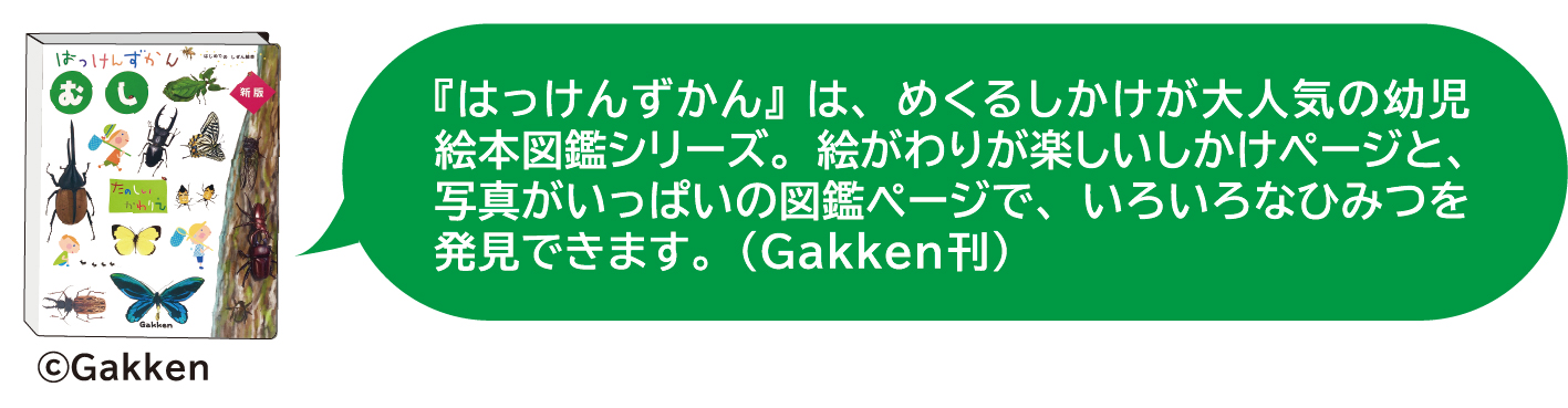 はっけんパズル　むし