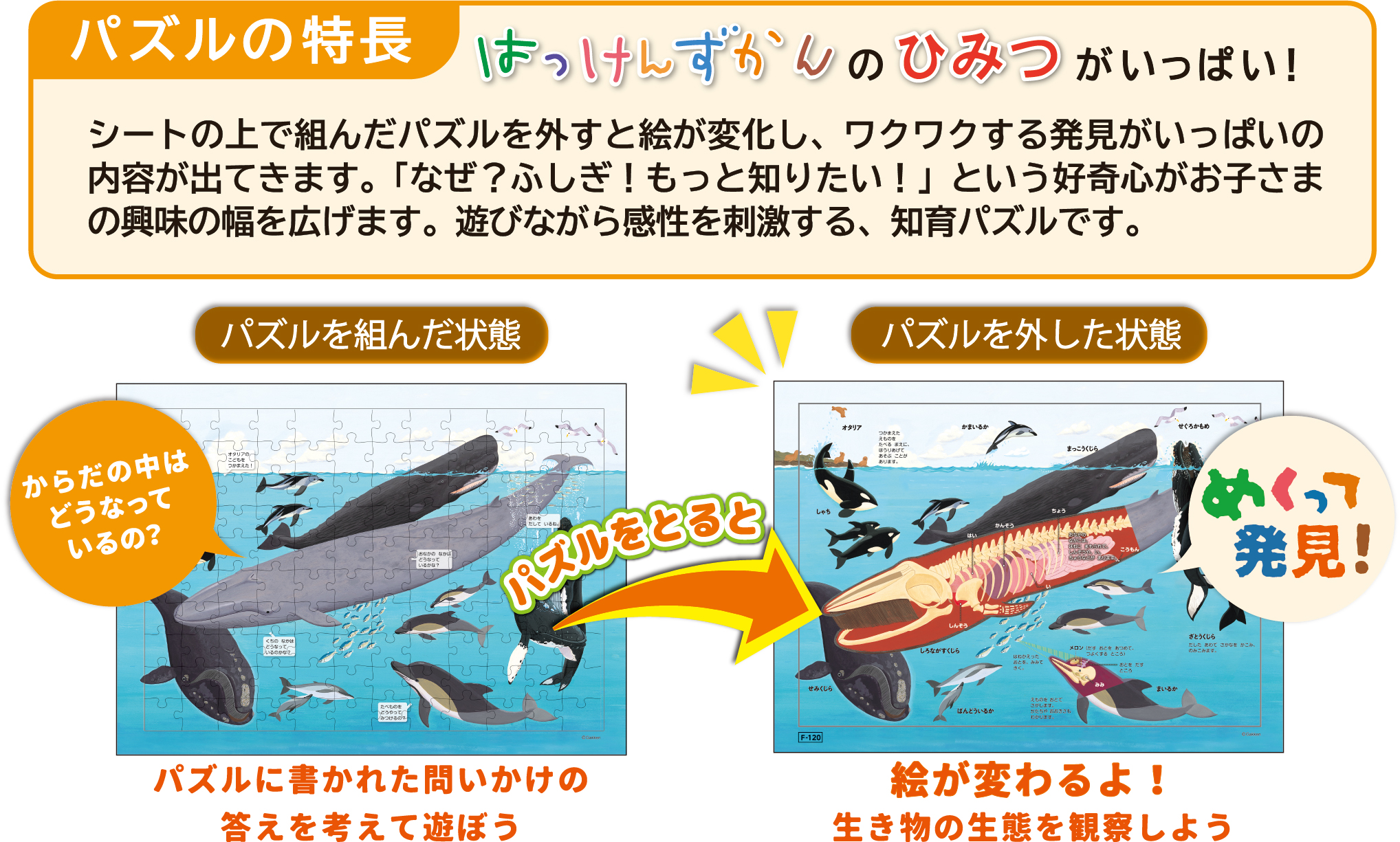 うみさま パズル 【公式通販】