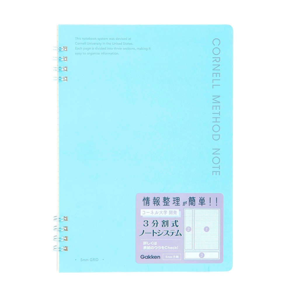 不詳】/作者不詳/不動明王図/布袋屋掛軸HG-617