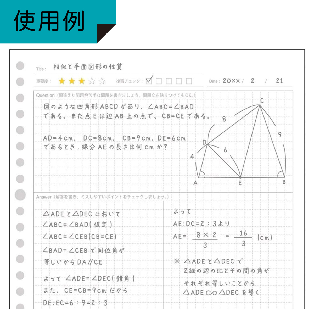 QuizKnock  クイズノック<br>B5ルーズリーフ（誤答・記述）